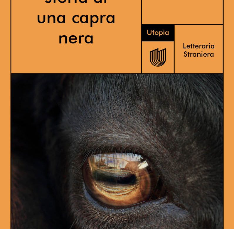 in libreria da oggi: Punacci, storia di una capra nera di Perumal Murugan, Utopia edizioni